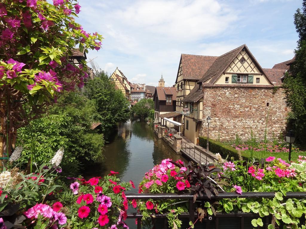 My Sweet Homes - Appartements Avec Spa Colmar Ruang foto
